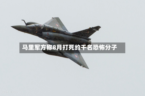 马里军方称8月打死约千名恐怖分子