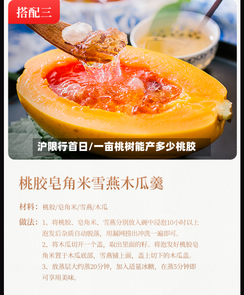 沪限行首日/一亩桃树能产多少桃胶-第3张图片