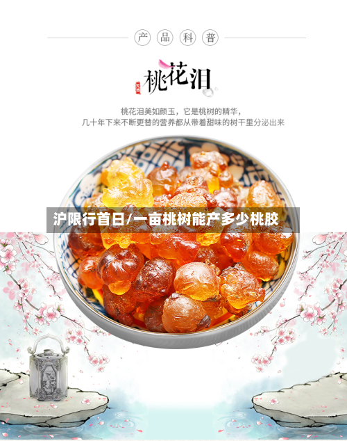 沪限行首日/一亩桃树能产多少桃胶