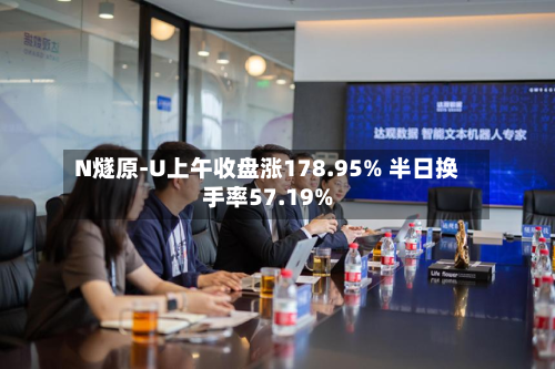 N燧原-U上午收盘涨178.95% 半日换手率57.19%